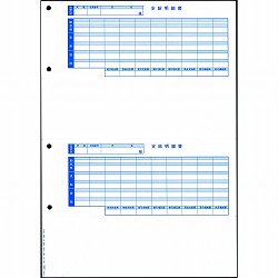 オービック 6202 単票封筒用明細書