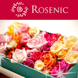 ROSENIC ローズバスセット(30輪)