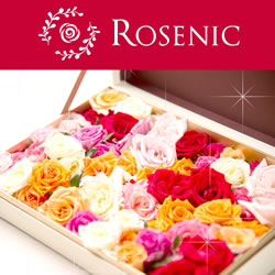 ROSENIC ローズバスセット(60輪)