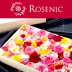 ROSENIC ローズバスセット(120輪)