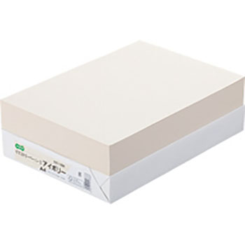 AEC-IVA4B αエコカラーペーパーII A4 アイボリー 500枚 汎用品