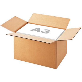 OR-L3 無地ダンボール L-3 10枚入 汎用品