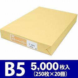 サクラカラーペーパー B5判 最厚口 クリーム色