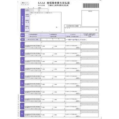 オービック 5165 単票被保険者賞与支払届