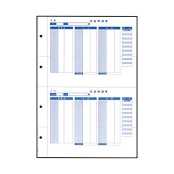 オービック 6252 単票封筒用支給明細書