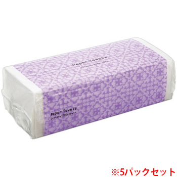 TS2049 ペーパータオル<エコノミー> 1セット 汎用品