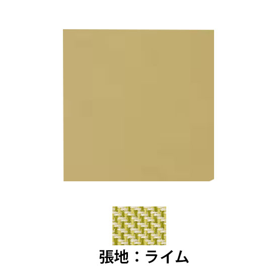 吸音パネル 四角 ライム 2枚セット