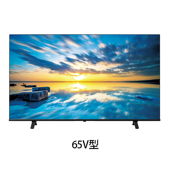 法人向け液晶テレビ 65V型 エントリーモデル